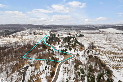 Parcel 5 E Meander Lane, Cedar, MI 49621 photo 2