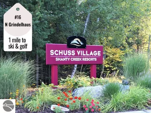 16 W Schuss Mountain Dr, Bellaire, MI 49615