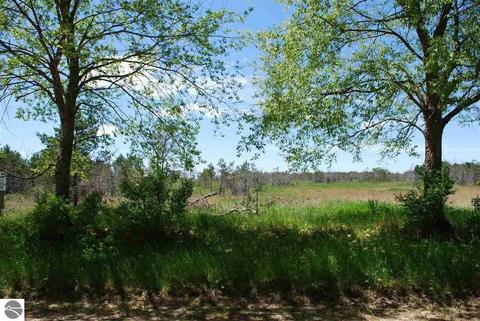 Parcel #3 SE Riley Road, Kalkaska, MI 49646