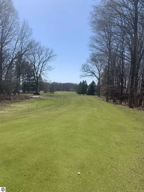 Lot 12 Golf Meadow Drive, Bellaire, MI 49615