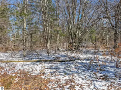 00 E 3 Mile Rd, Luther, MI 49656 photo 30