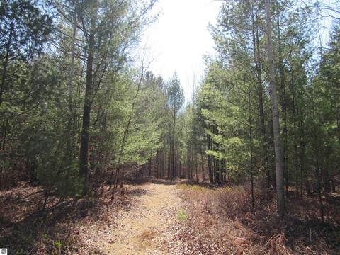 Krumm Road, Tawas City, MI 48763