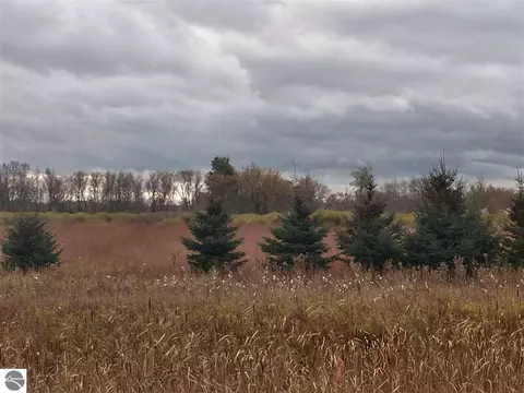 0 E Huron Rd, Au Gres, MI 48703 photo 18