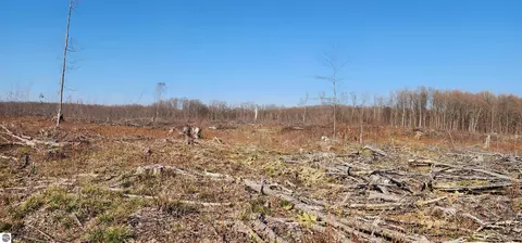 Vl 40 Acres Mockingbird Lane, Kalkaska, MI 49646