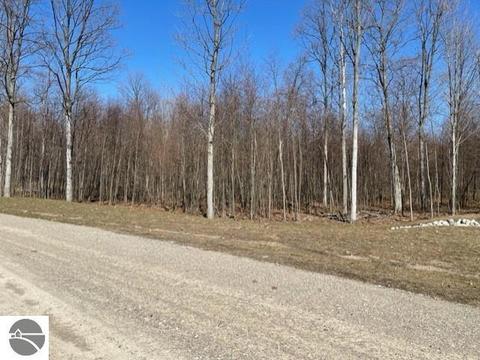 E S Arden Way LOT E ARDEN WAY, Maple City, MI 49664