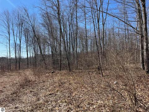 Parcel 3 King Road, Benzonia, MI 49616