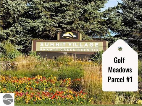 1 Golf Meadows Dr, Bellaire, MI 49615