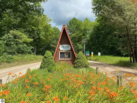 Basel Drive, Reed City, MI 49677