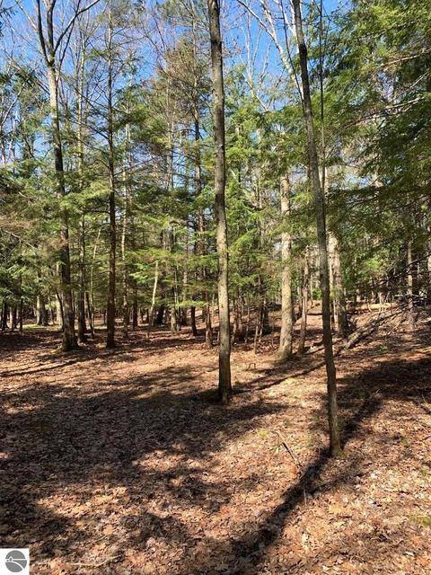 00 S Forest Haven Dr, Glen Arbor, MI 49636