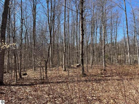 Parcel 2 King Road, Benzonia, MI 49616