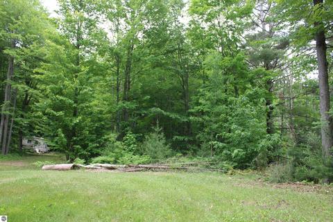 Wagner Road, Lake Ann, MI 49650
