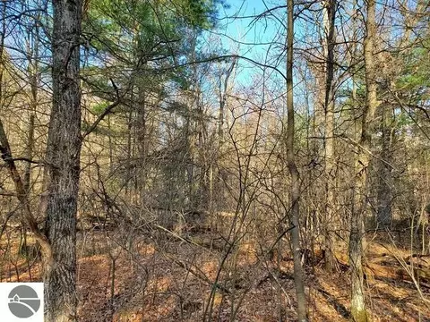 0 E Trl, Prescott, MI 48756 photo 4