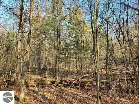 0 E Trl, Prescott, MI 48756 photo 5