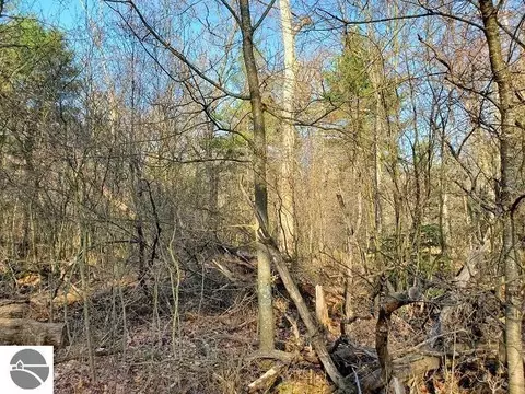 0 E Trl, Prescott, MI 48756