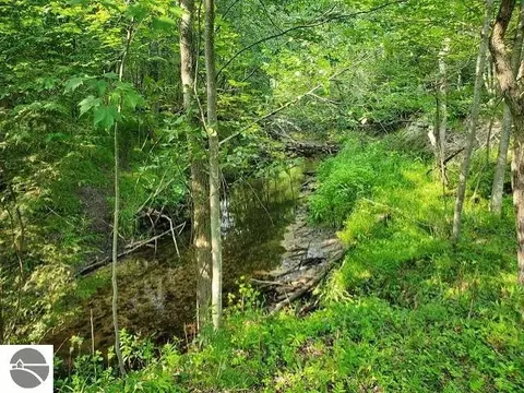 0 E Trl, Prescott, MI 48756 photo 7