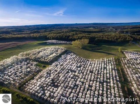 9916 E Valley Hills Dr, Traverse City, MI 49684