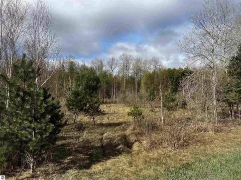 00 Goose Rd, Honor, MI 49640 photo 2