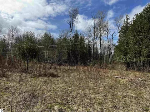 00 Goose Rd, Honor, MI 49640 photo 3