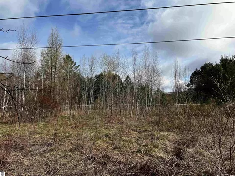 00 Goose Rd, Honor, MI 49640 photo 6