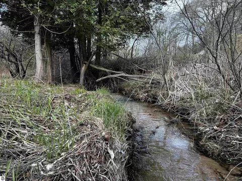 00 Goose Rd, Honor, MI 49640