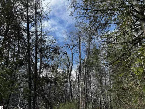 00 Goose Rd, Honor, MI 49640 photo 4