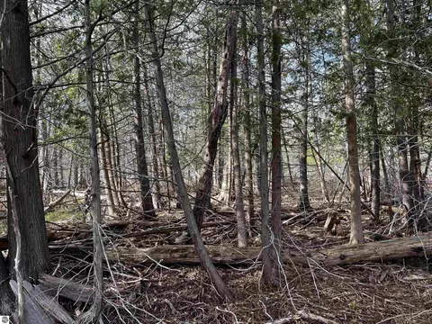 00 Goose Rd, Honor, MI 49640 photo 5