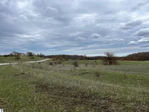 Parcel E Floreys Ranch Road, Grawn, MI 49637 photo 5