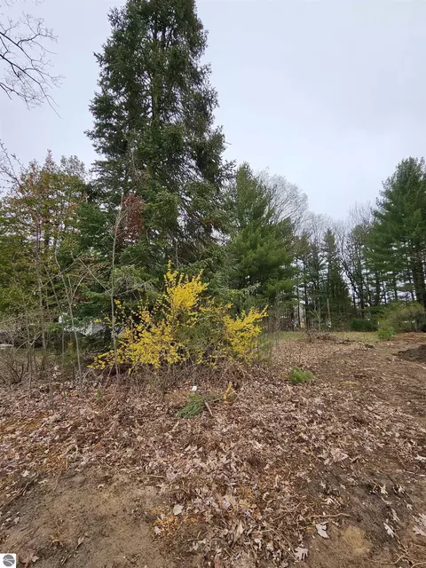 00 Cass St, Lake City, MI 49651