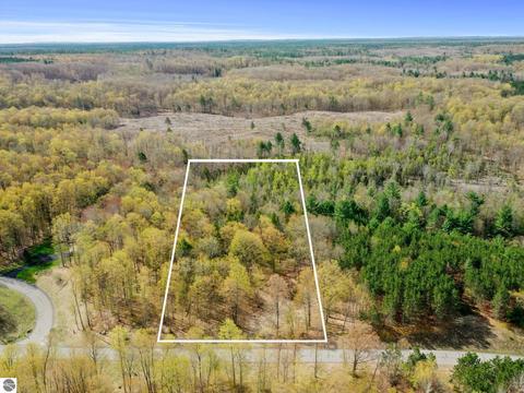 Lot 9 Truax Lake Road, Williamsburg, MI 49690
