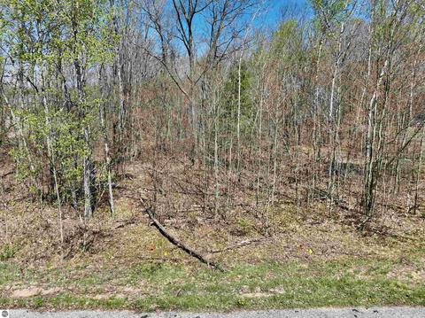 Lot 20 Bramblewood Drive, Cadillac, MI 49601