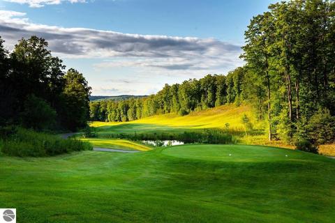 Tbd Hawks Eye Drive, Bellaire, MI 49615