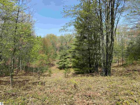14 Acres S 47 34 Rd #FOREST DRIVE, Cadillac, MI 49601