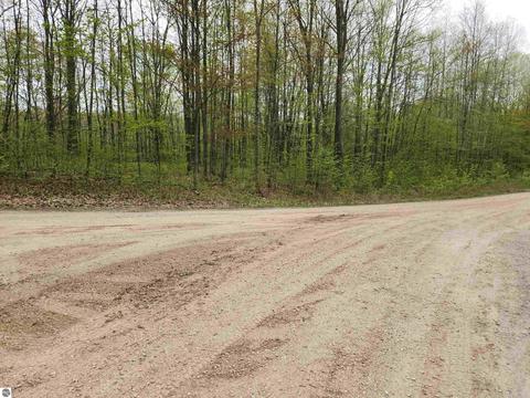 Lot 20 Acorn Ridge Trail, Beulah, MI 49617