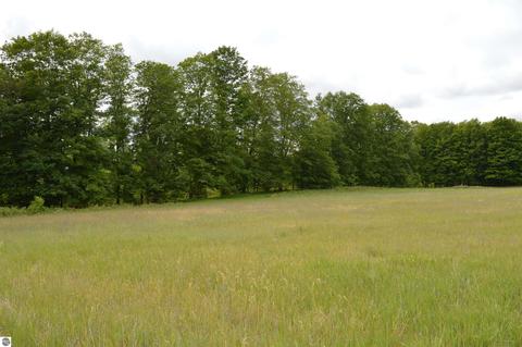 M Summit City Road, Kingsley, MI 49649