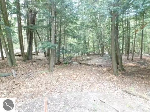S Michaels Woods Trail, Maple City, MI 49664