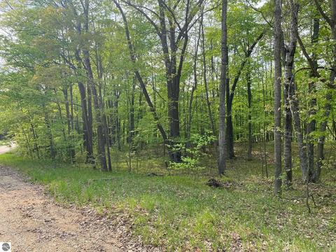 Thurgau Drive, Reed City, MI 49677