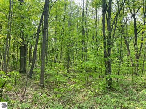 Bern Drive, Reed City, MI 49677