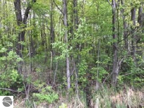 N/a E Huron Road, Au Gres, MI 48703