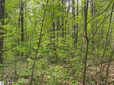 Lucerne Drive, Reed City, MI 49677