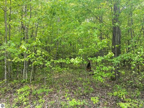 Fribourg Drive, Reed City, MI 49677
