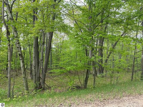 Ticino Drive, Reed City, MI 49677