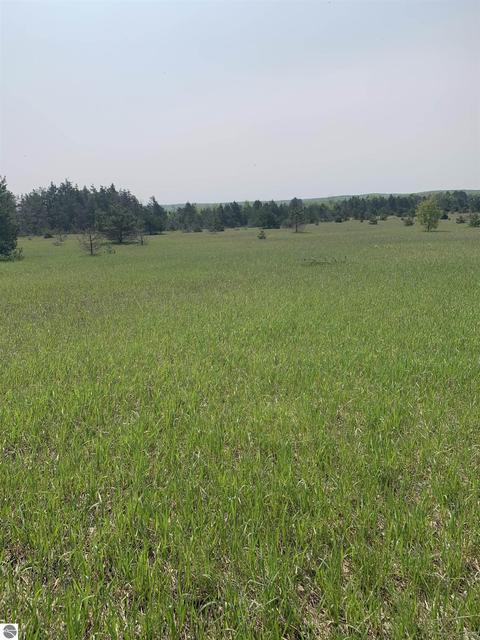Parcel 4 Off Doerr Road, Mancelona, MI 49659