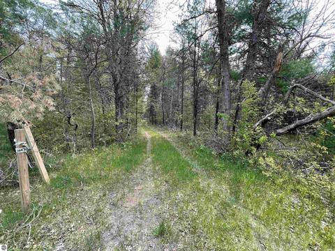 8433 S Grayling Rd, Roscommon, MI 48653