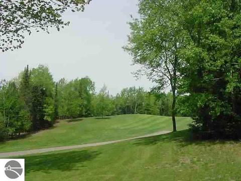 Lot 16 White Pine Drive, Cadillac, MI 49601