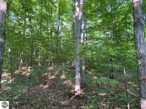 0000 E Fewins Rd, Honor, MI 49640 photo 3