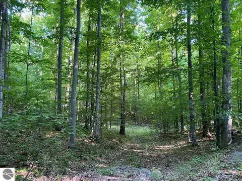 0000 E Fewins Rd, Honor, MI 49640 photo 4