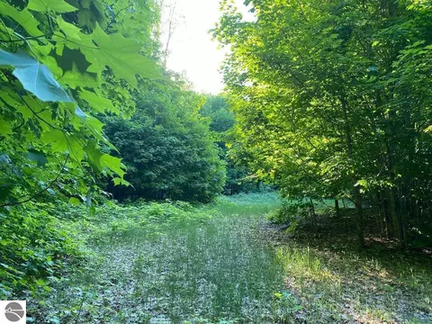 0000 E Fewins Rd, Honor, MI 49640 photo 6