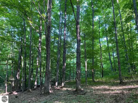 0000 E Fewins Rd, Honor, MI 49640 photo 2