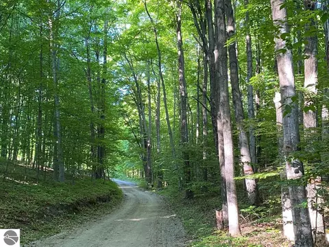 0000 E Fewins Rd, Honor, MI 49640