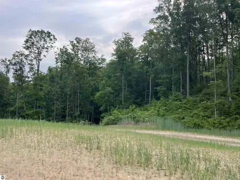 S Hill Road, Cedar, MI 49621 photo 5